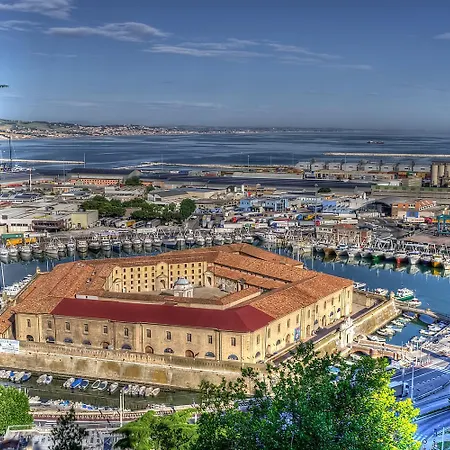 Ama Ancona