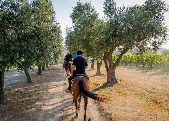 Ama Home, In Centro Con Terrazza Appartement Ancône
